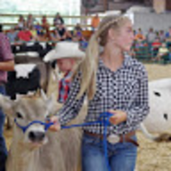 Meet your Posher, Natalie - Picture 1 of 1